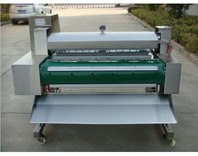 DZ-1000QF automatic continous vacuum packaging machine2