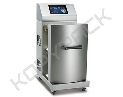 DZ-500L vertical chamber coffee vacuum packing machine