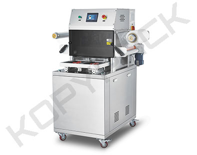 DJTT-330 stand alone automatic vacuum skin tray sealing machine1